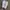 NIKE COURT VISION ALTA SECOND 39  photo 6