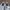 NIKE COURT VISION ALTA SECOND 39  photo 7