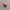 Gacha Figure Kirby photo 2