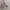 Gacha Figure Kirby photo 1