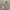 Gacha Figure Animal Food photo 1