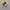 Gacha Figure Animal Food photo 2