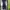 Rare items coach jacket [ BANANA J BRAND ]cardigan bomber ko photo 7