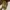 Adidas Rivalry Crepe Not air jordan 1 Not New Balance Not Ad photo 6