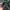 Sportswear Track jacket Pria green photo 6
