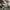 Diadora Winner SL Not air jordan 1 Not New Balance Not Adida photo 8