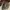 Diadora Winner SL Not air jordan 1 Not New Balance Not Adida photo 7