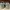 Diadora Winner SL Not air jordan 1 Not New Balance Not Adida photo 6