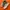 vans decon photo 1