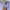 Formal Pants Pria Casual Man Minimalist Pants photo 3