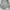 Polo V Neck Pria Casual Minimalist Polo Shirt Man photo 3
