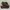Skechers wingtip leather brown photo 1