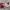 Feelgoodstoregarage  photo 1