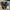 New Balance x Stone Island 991v1 Made In England  photo 2