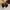 FENDI LAB CLOGS LEATHER SIZE 8 photo 2