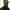 Patta Streetwear Hat Pria Green