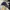 Topi Cowboys NFL Vintage photo 2