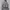 Adidas crop jacket  photo 2