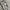 1:24 Baggy nylon cargo pants wide leg big pocket photo 3