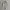 1:24 Baggy nylon cargo pants wide leg big pocket photo 2