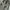 Y2k baggy nylon cargo pants army olive photo 5