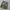 Y2k baggy nylon cargo pants army olive photo 4