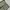 Y2k baggy nylon cargo pants army olive photo 6