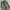 Y2k baggy nylon cargo pants army olive photo 3