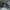 Y2K baggy cargo nylon pants  photo 7
