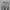 Y2K baggy cargo nylon pants  photo 5