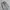 Y2K baggy cargo nylon pants  photo 3