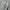 Y2k baggy cargo nylon pants beige photo 2