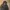Parka jacket Casual Aquascutum Vintage photo 4