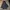 Parka jacket Casual Aquascutum Vintage photo 1