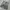Y2K baggy cargo nylon pants olive  photo 2