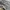 Y2K baggy cargo nylon pants olive  photo 4