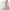 Muji straight silhouette semi stretch jeans bone straight fi photo 5