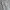 Fifth korea baggy cargo nylon pants white photo 3