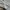 Fifth korea baggy cargo nylon pants white photo 5