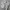 Fifth korea baggy cargo nylon pants white photo 2