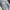 Bando sports nylon cargo pants photo 4