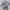 Bando sports nylon cargo pants photo 2