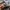 Bando sports nylon cargo pants photo 6