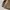 Knitwear Shawcollar photo 6
