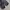 Aube baggy cargo pants nylon utiltiy photo 4
