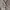 Elegancia Mohair Knit Cardigan photo 4