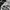 ADIDAS SUPERSTAR X NIGO BEARFOOT SECOND 40.5 photo 5