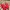 Justin Deakin Red Sneakers Pony Hair UK3 / EU 36 photo 1