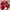 Justin Deakin Red Sneakers Pony Hair UK3 / EU 36 photo 3