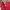 Justin Deakin Red Sneakers Pony Hair UK3 / EU 36 photo 2